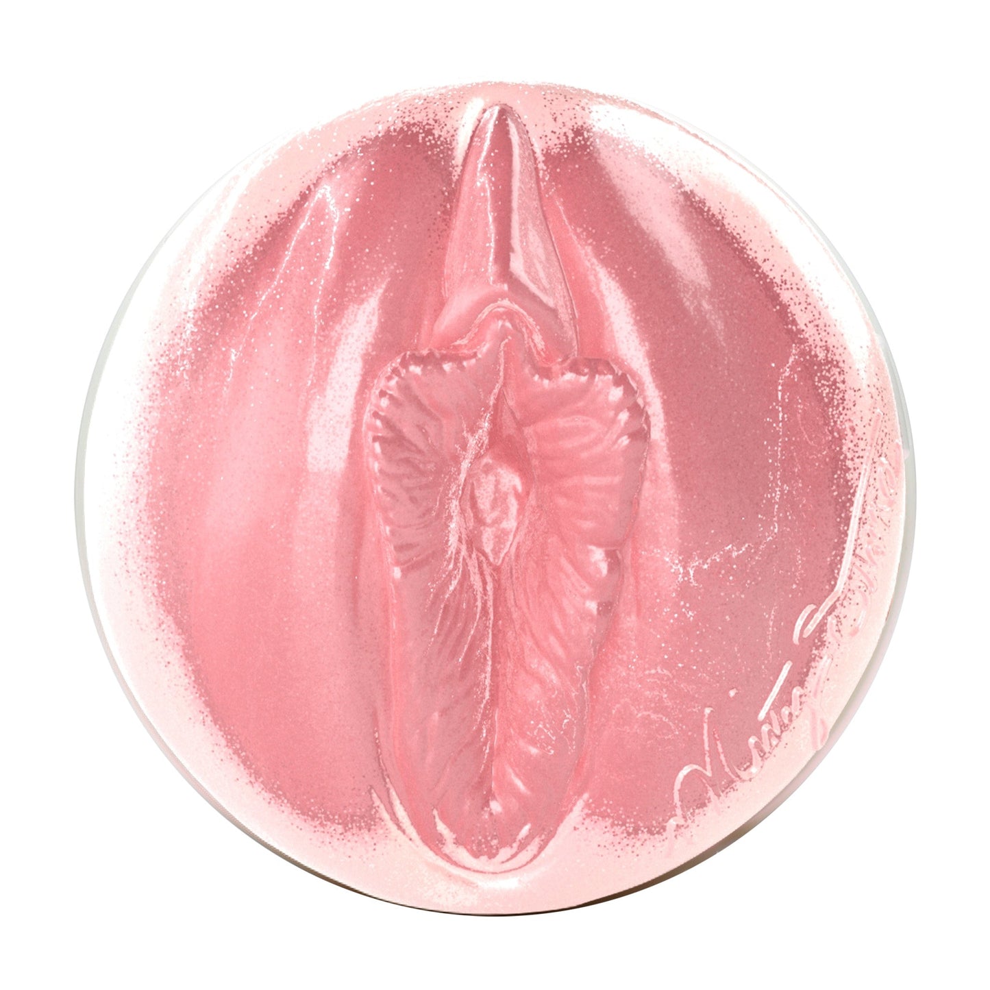 Misty Stone Birthday Cake Edition Fleshlight Reverse Bump - N - Grind (Lady) With Case Fleshlight