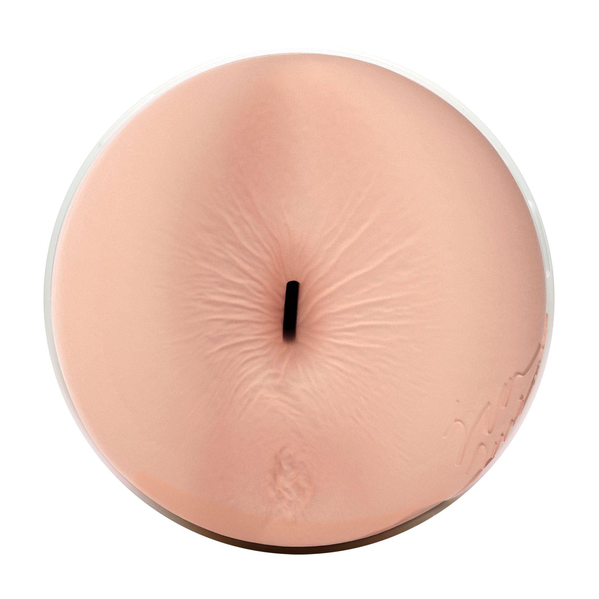 Eva Lovia Fleshlight Sugar (Lady) With case Fleshlight